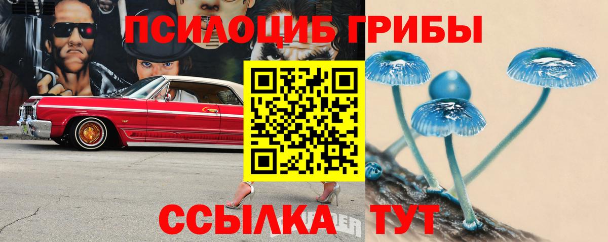 Псилоцибиновые грибы мухоморы Сочи