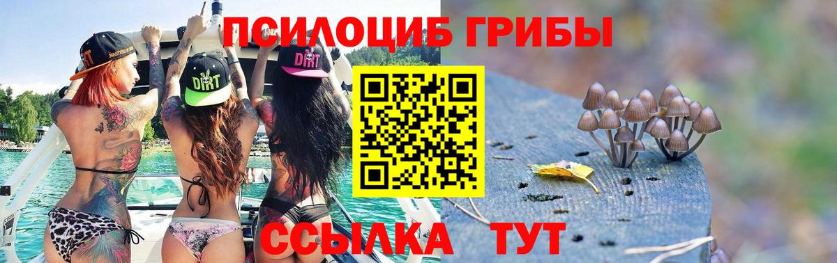 Сочи  Псилоцибиновые грибы MAGIC MUSHROOMS  Вход с VPN 